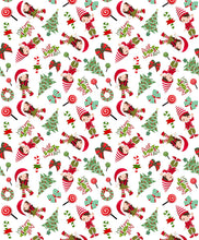 Load image into Gallery viewer, Dear Santa